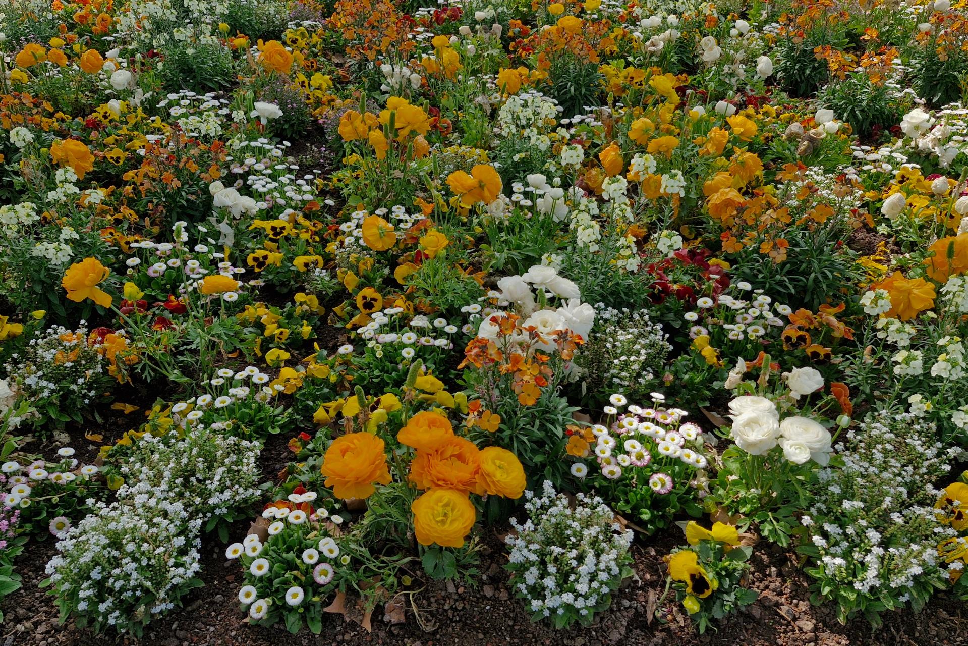 Blumen
