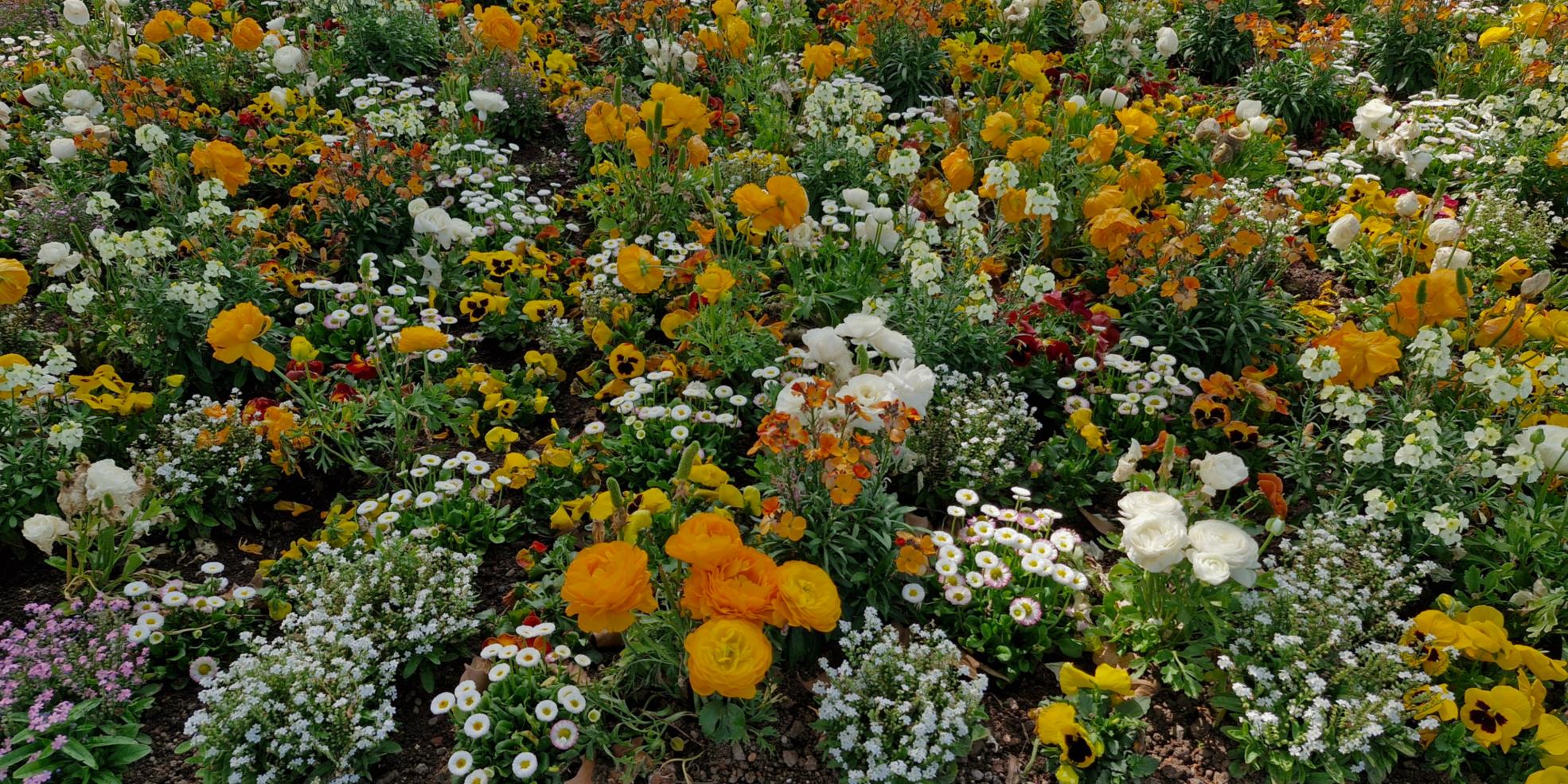 Blumen