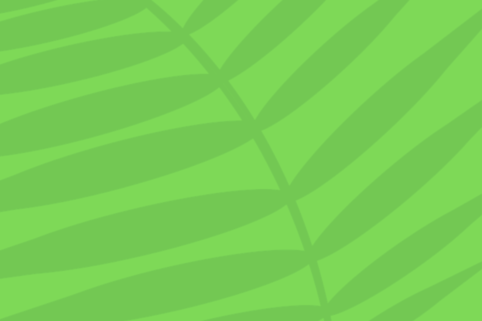 Kopie von Palmbasteln 2025