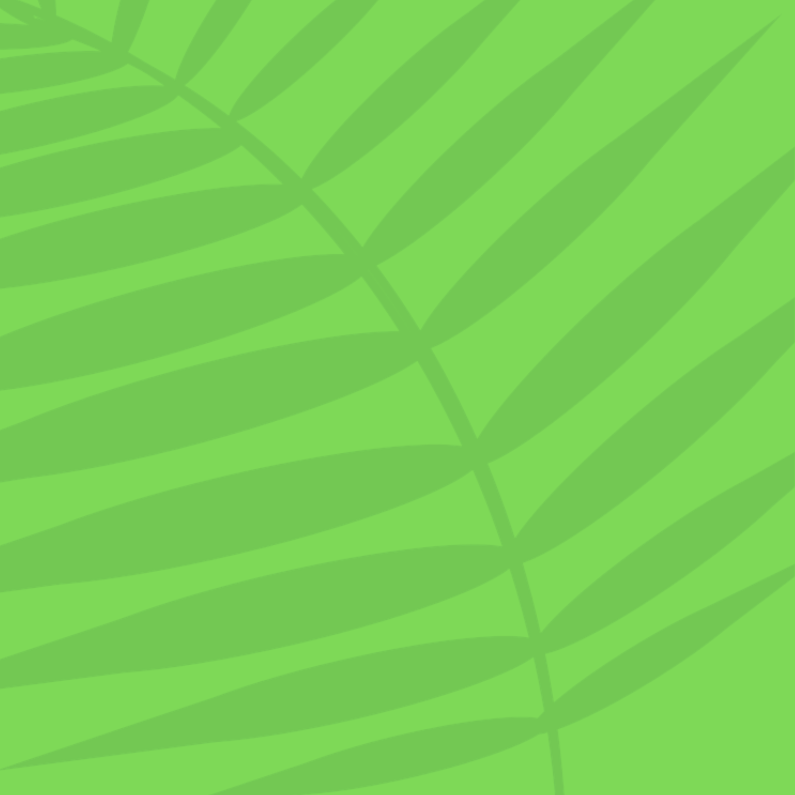 Kopie von Palmbasteln 2025